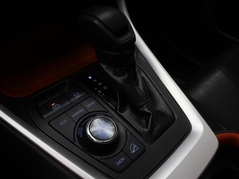 2019 TOYOTA RAV4 ADVENTURE