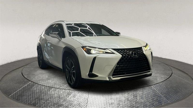 2020 LEXUS UX 200