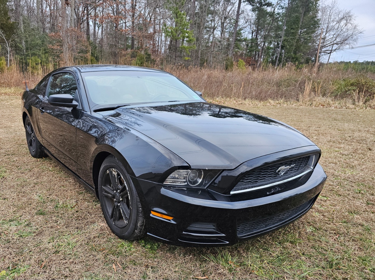 2014 Ford Mustang