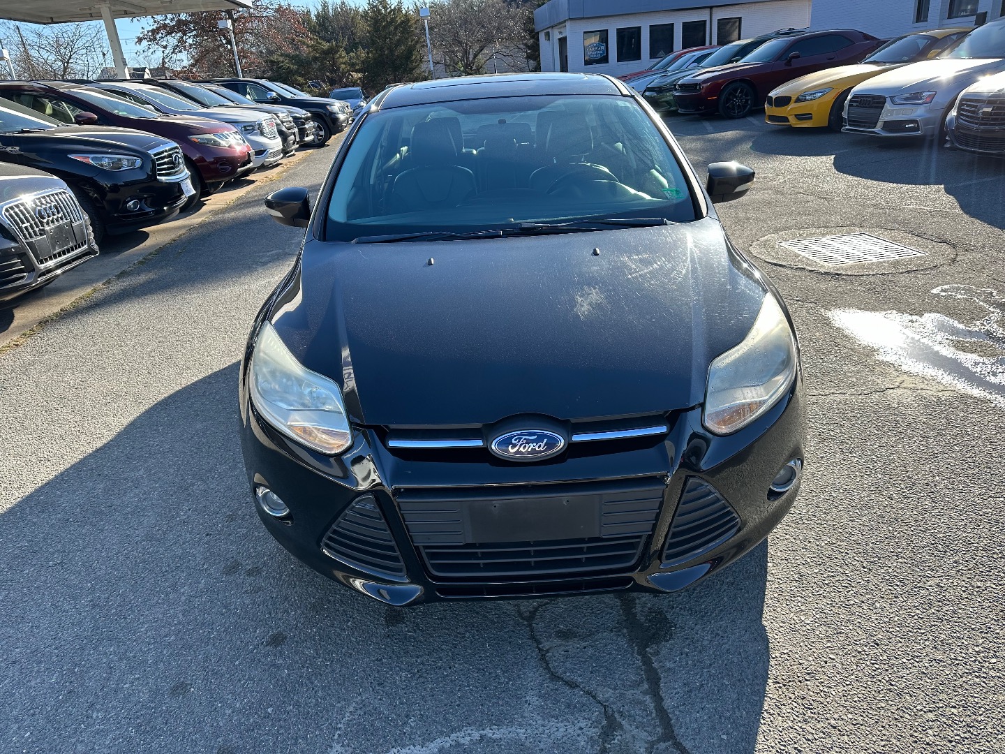 2014 Ford Focus SE - Photo 2