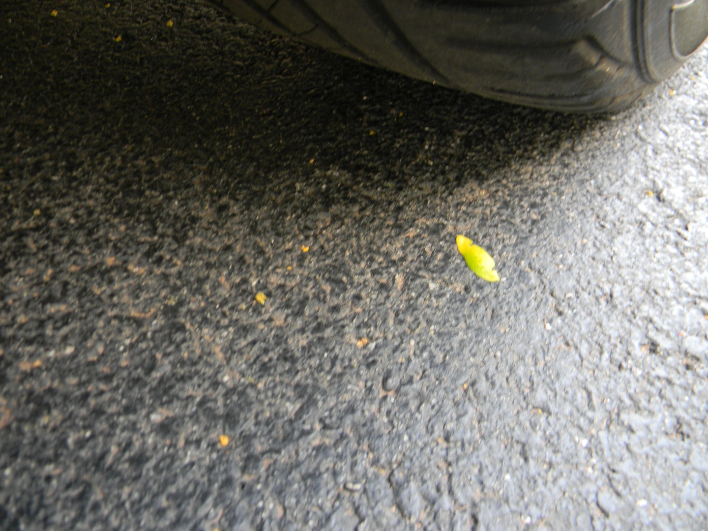 2017 Nissan Altima SR - Photo 36